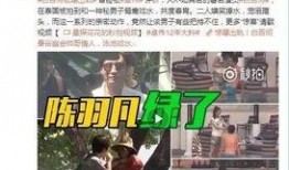 朱大伟前妻爆料视频,揭秘婚姻背后的惊人真相