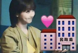 娱乐圈爆料小菊花是谁,揭秘神秘人物身份之谜