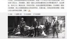 青岛雨后爆料事件始末视频,真相与争议的交织